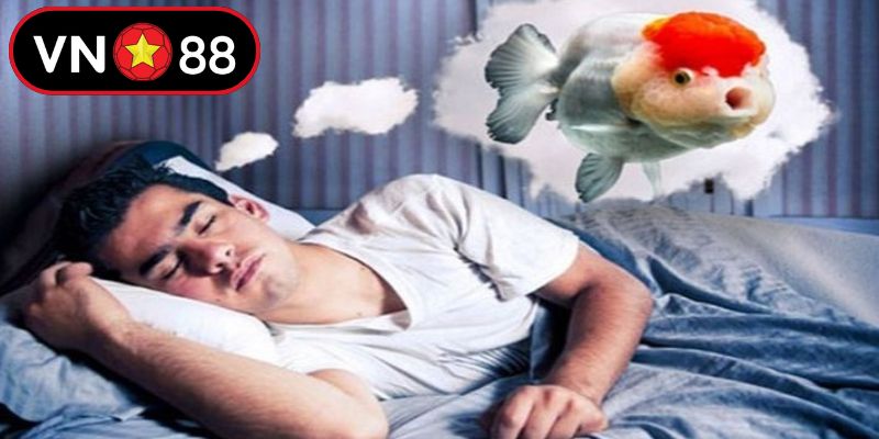 Khám phá khái niệm giải mã giấc mơ là gì qua thời gian